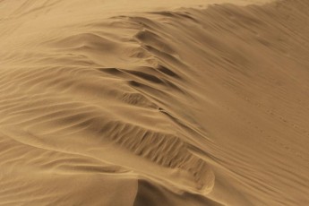 desert-6753729_1280